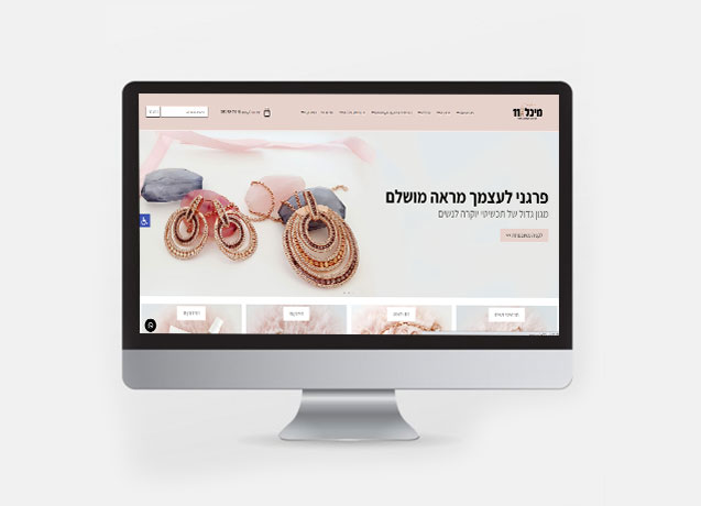 הדרכה לניהול חנות אינטרנט
